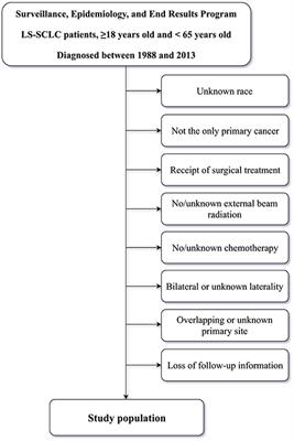 Primary site as a novel prognostic factor for cardiovascular mortality post-radiotherapy in limited-stage small cell lung cancer: A large population-based study